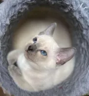 Эксклюзивное предложение