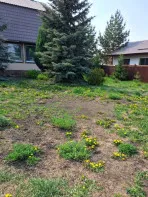 Коттедж в Патрушах