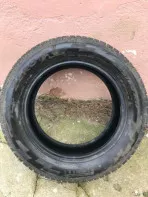 Шины