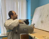 Уничтожение клопов, тараканов, дезинфекция, дезинсекция