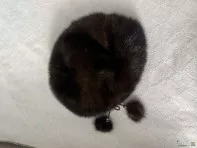 Берет норковый