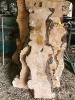 Слэбы из дуба, бука, ясеня, тополя, карагача