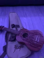 Укулеле flight