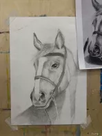 Продам академ рисунок