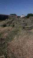 Продам сено 2022
