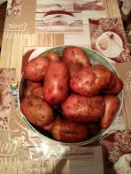 Картофель домашний