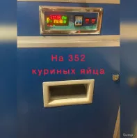 Инкубатор на 352 куриных яйца