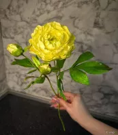 Пионы из холодного фарфора
