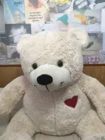 Плюшевый медведь