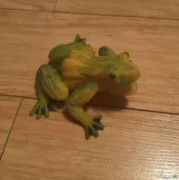 Лягушка