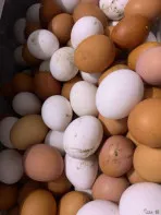 Продаю куриные свойские яйца 150 р десяток