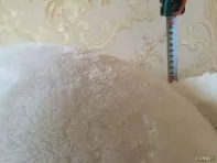 Большой, красивый, белый медведь